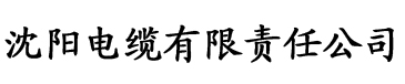 亚洲中文字幕久久无码电缆厂logo